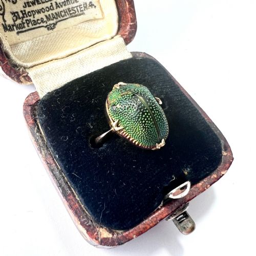 fig 1. Real Scarab Beetle 9CT Gold Solitaire Ring
