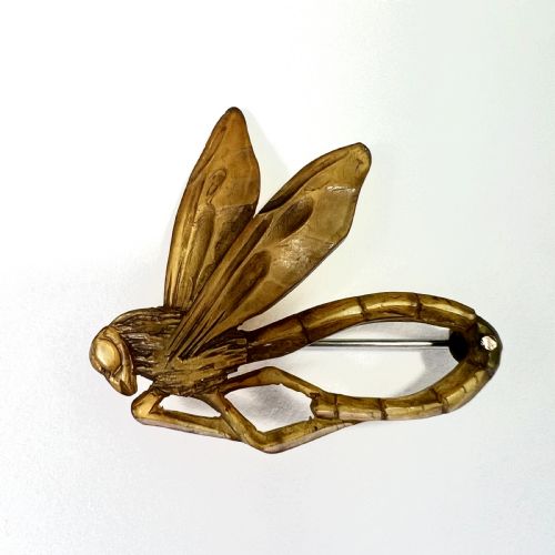 Art Nouveau Carved Horn Dragonfly Brooch