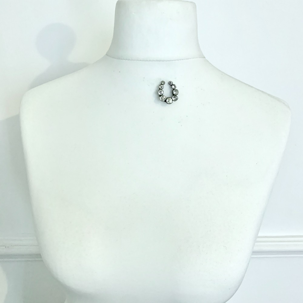 Victorian Silver Horseshoe Crescent Paste Brooch View VIII