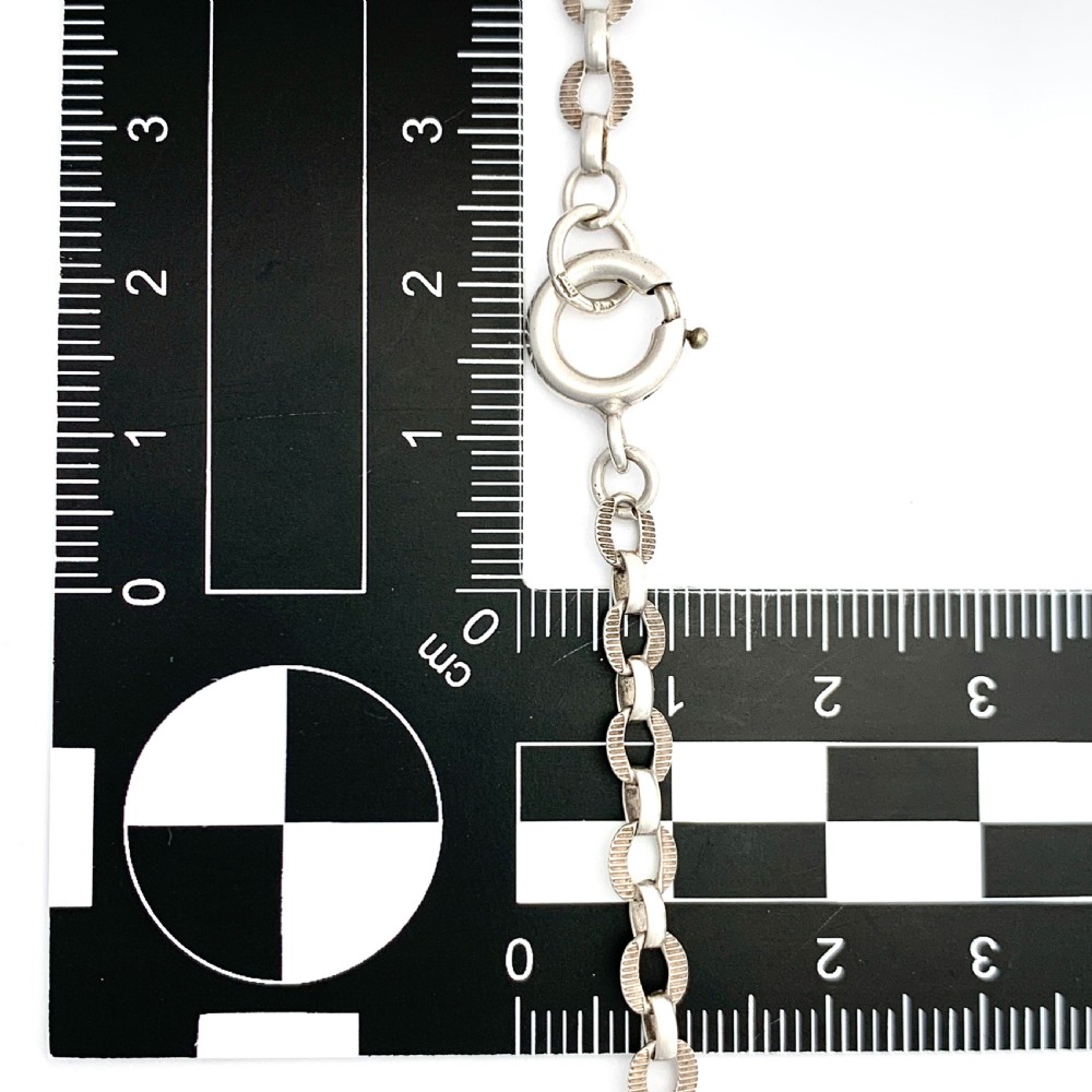 Antique Very Long Silver Longuard Chain View II