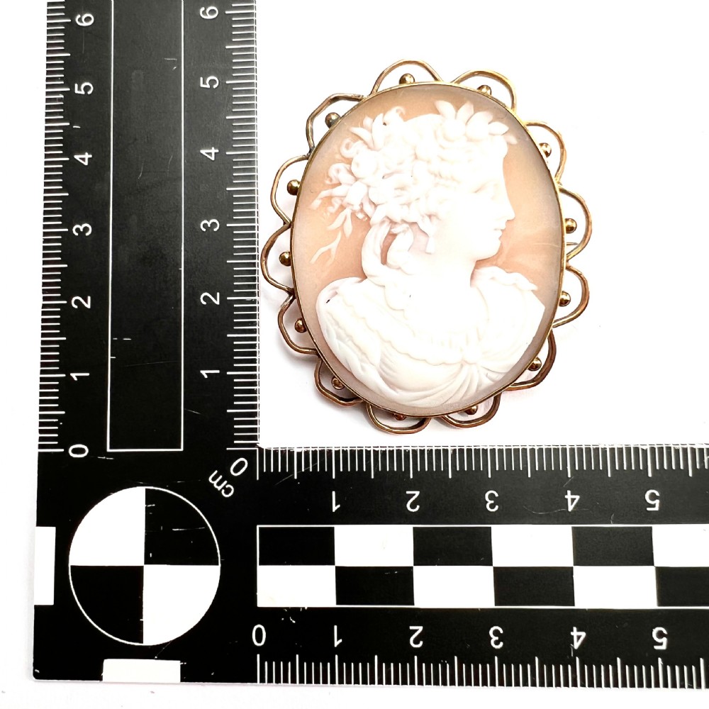 Fine Victorian Carved Shell Portrait of a Lady Cameo Brooch View IX