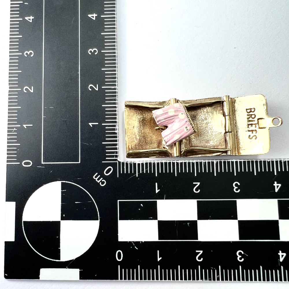 Vintage 9CT Gold BRIEFS Opening Briefcase Enamel Charm View IX