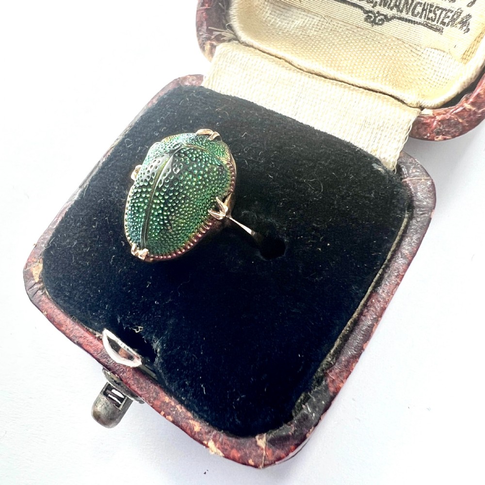 Real Scarab Beetle 9CT Gold Solitaire Ring View III