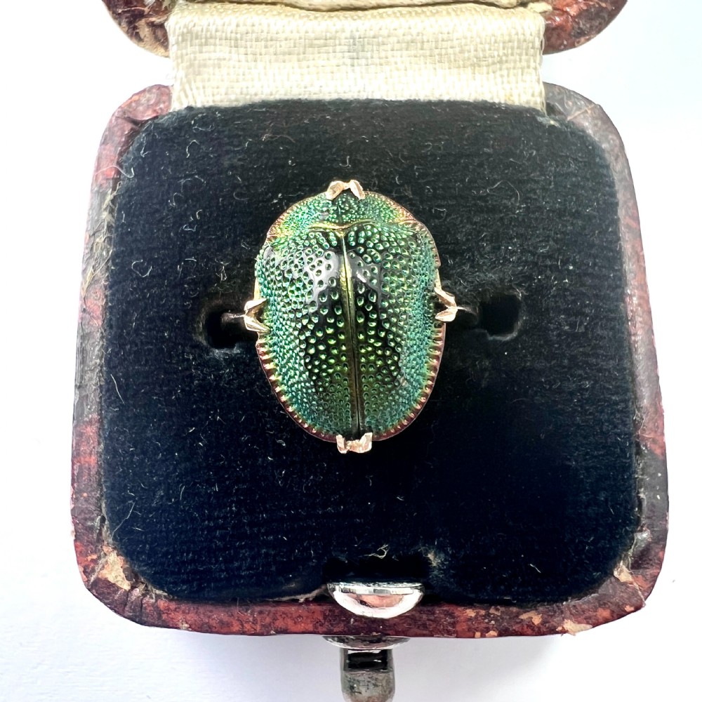 Real Scarab Beetle 9CT Gold Solitaire Ring View IV