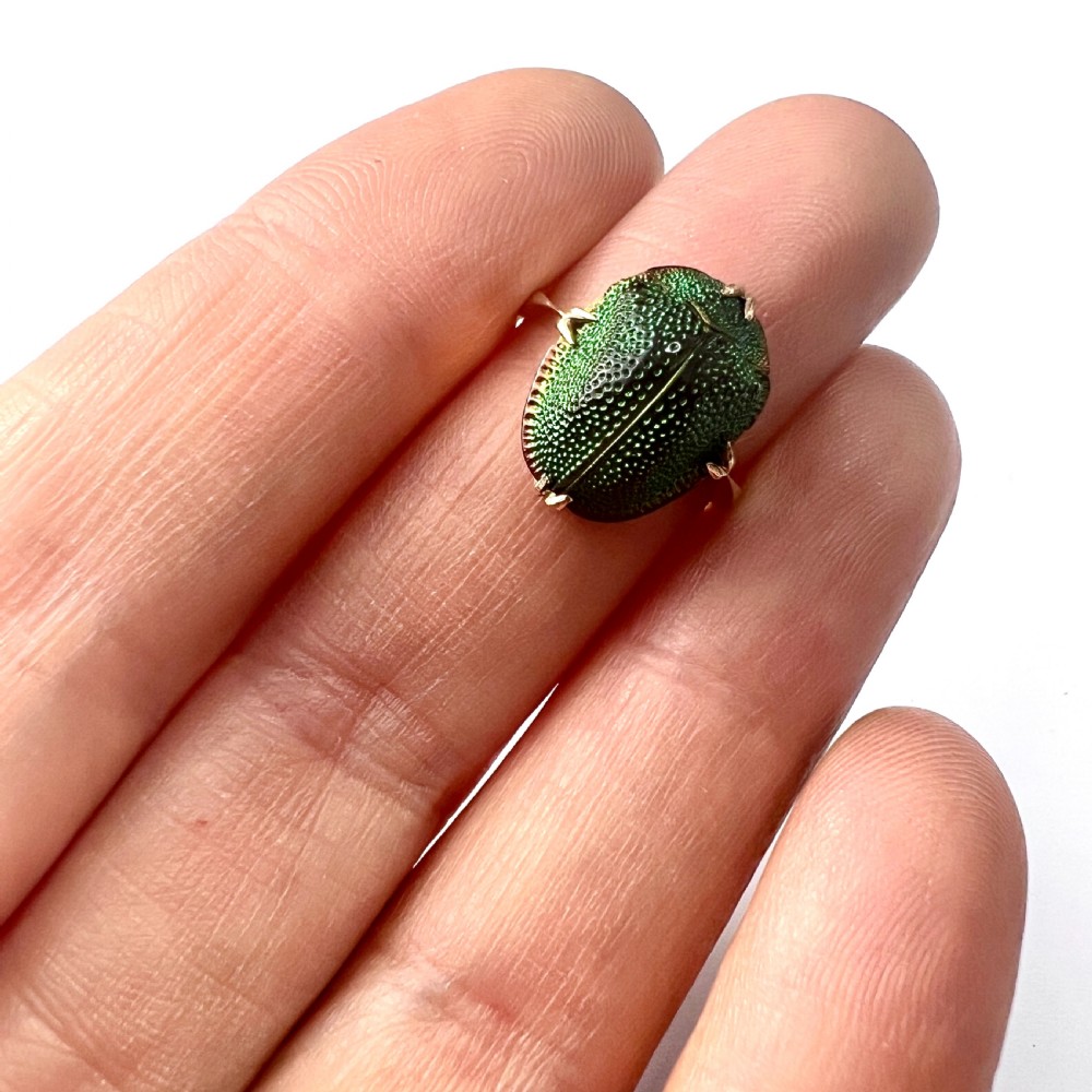 Real Scarab Beetle 9CT Gold Solitaire Ring View IX