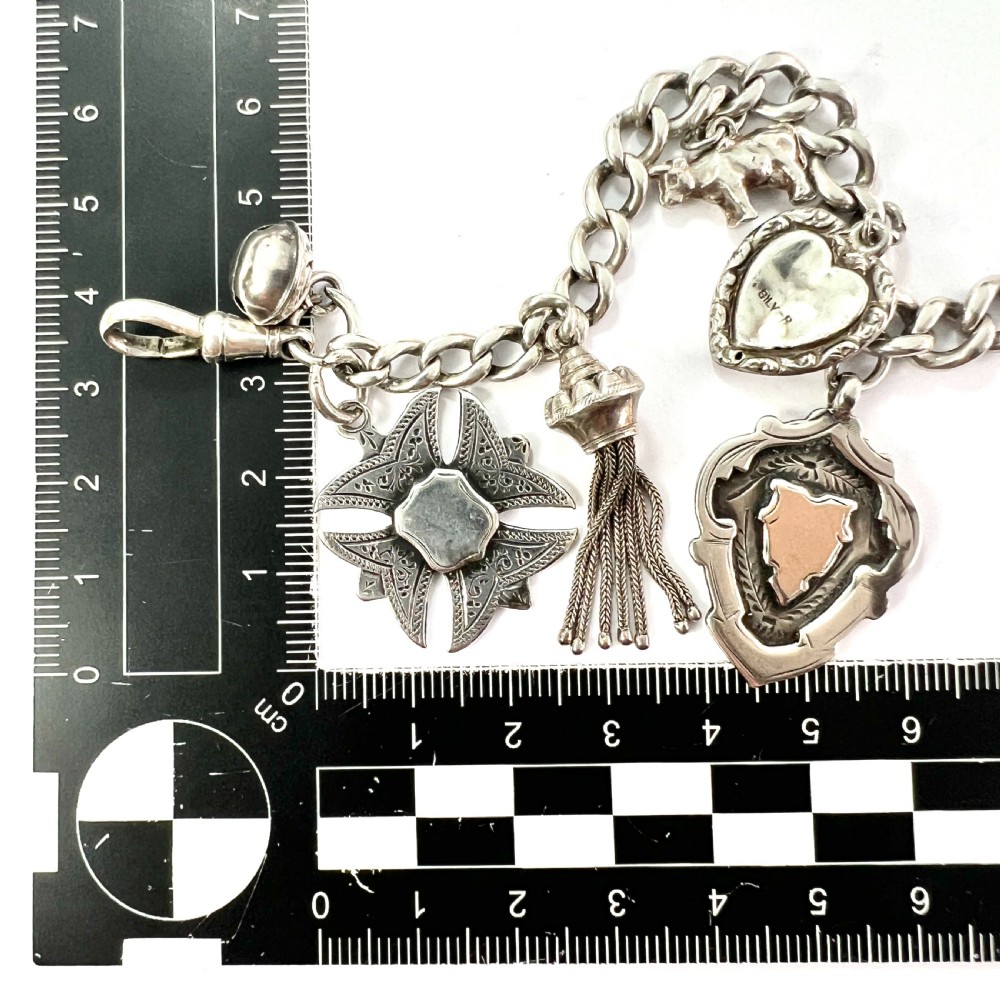 Victorian Silver Curb Chain Bracelet with 8 Charms  View VI