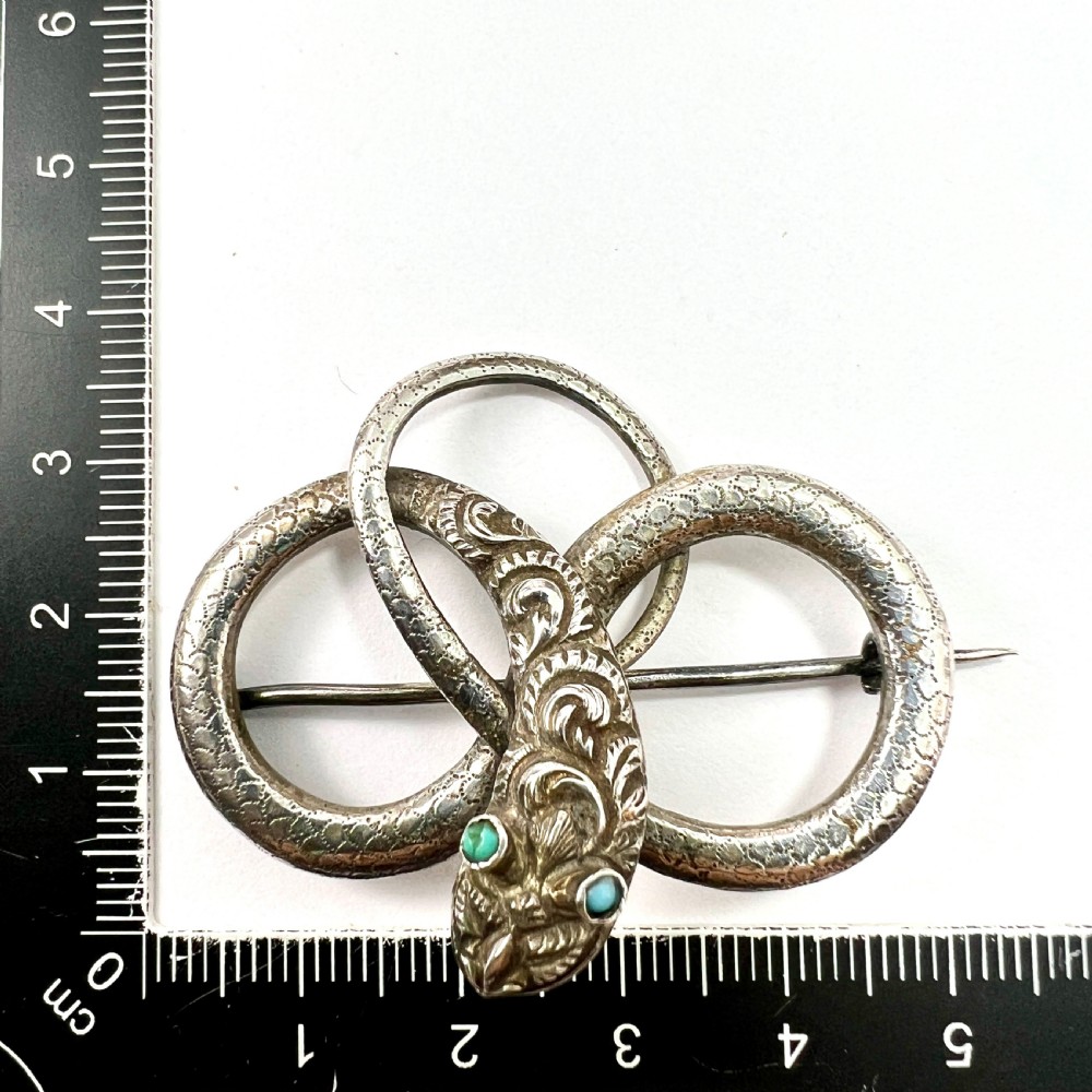 Georgian Silver Serpent Brooch with Turquoise Eyes View VI