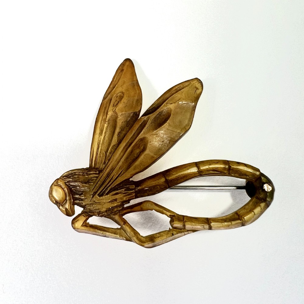 A carved horn brooch in the shape of a dragonfly with detailed wings and a curved body against a neutral background.