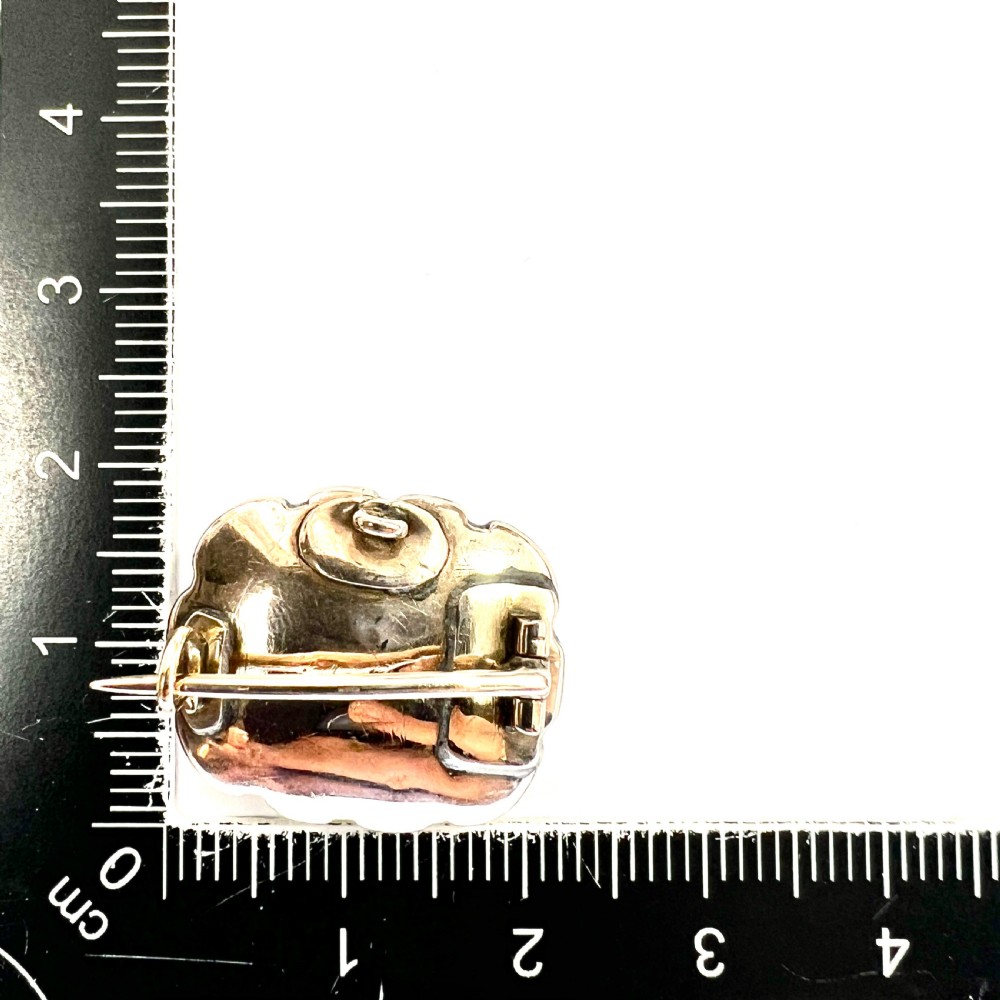 Georgian Silver Black Dot Paste Cluster Brooch View VII