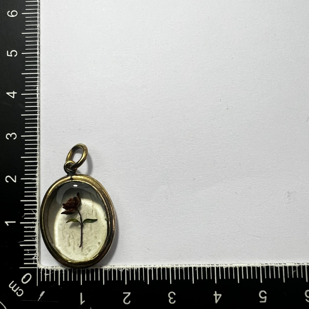 Victorian Locket Pendant with Dried Flower View V