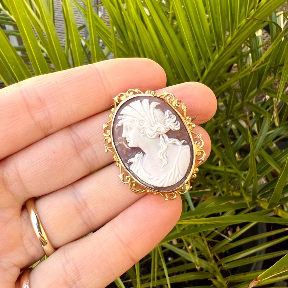 An oval Victorian 9ct gold brooch featuring a white carved shell cameo of a classical female profile set within an ornate openwork scroll frame with an attached safety pin. View XI