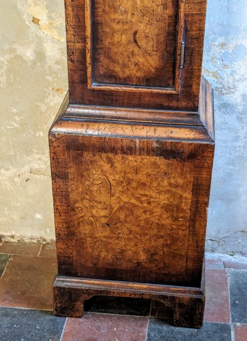 fig 1. Queen Anne Burr Walnut Longcase Long Case Granddaughter Clock