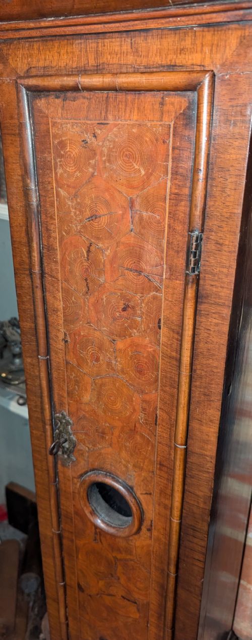 fig 1. Queen Ann Style Granddaughter Longcase Clock