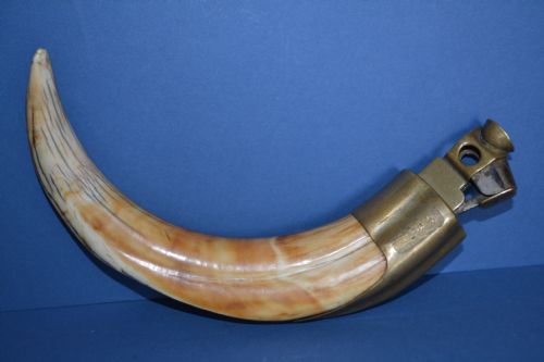 Warthog Tusk and Brass Cigar Cutter,c1900.lovely Large Sized Tusk with Good Colour.