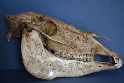 Rare Large Dyak (Head Hunters) Tribal Carved Horse Head and Jaw,c1900. Beautiful Carved Tribal Decoration.