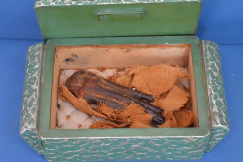 Mummified Monkey Hand in Presentation Box,grand Tour Piece , C1910