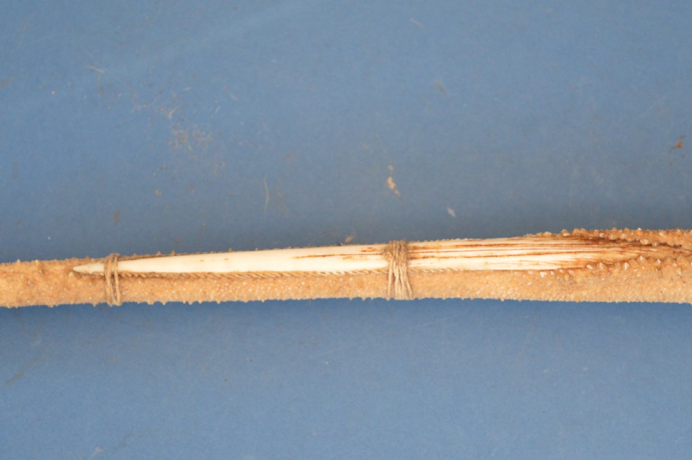 19th Century Gilbert Islands Stingray Skin Temeran or Taboua Sword,c1870 View VI