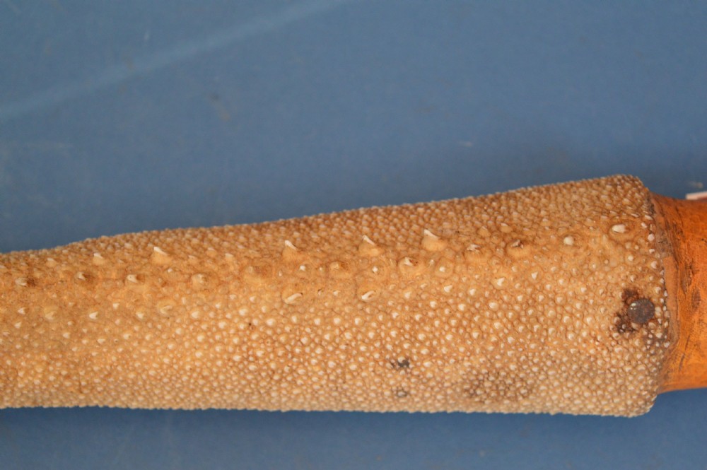 19th Century Gilbert Islands Stingray Skin Temeran or Taboua Sword,c1870 View VII