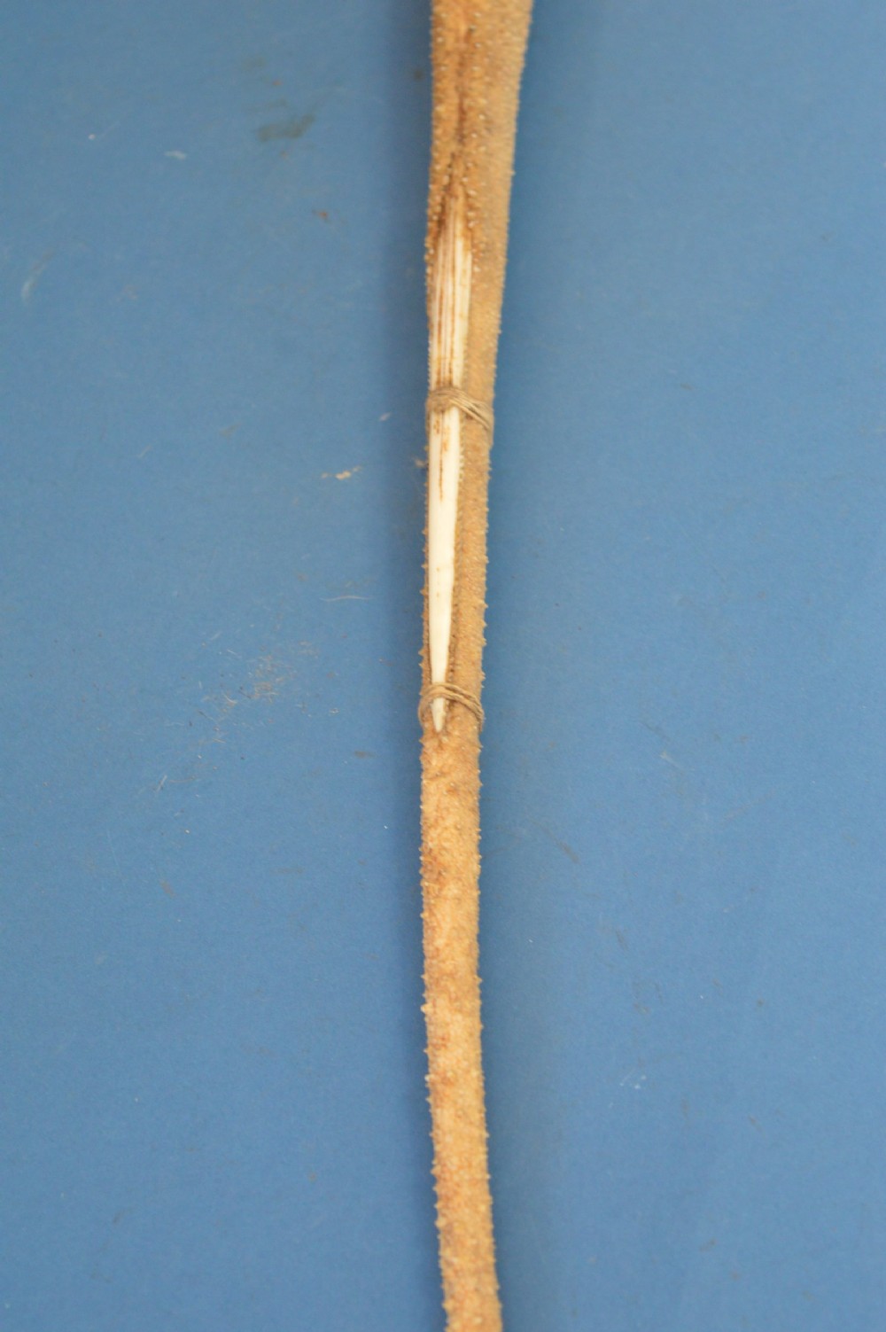 19th Century Gilbert Islands Stingray Skin Temeran or Taboua Sword,c1870 View IX