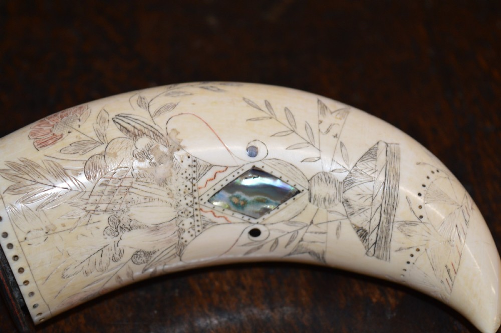 19th Century Whale Tooth Scrimshaw Snuff Mull , Abalone Inserts, USA , c1850