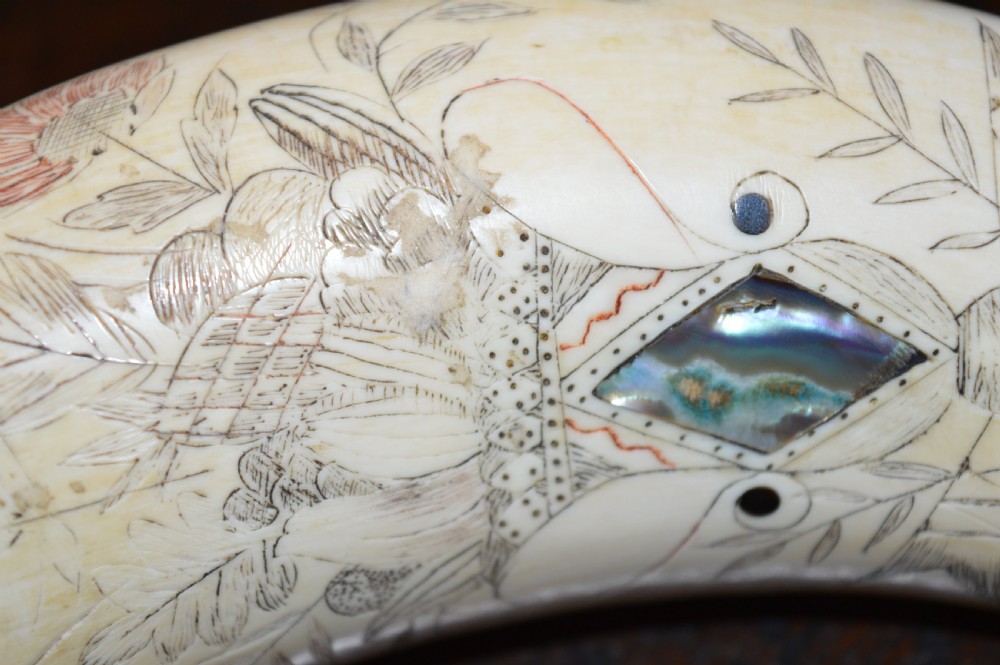 19th Century Whale Tooth Scrimshaw Snuff Mull , Abalone Inserts, USA , c1850 View VII