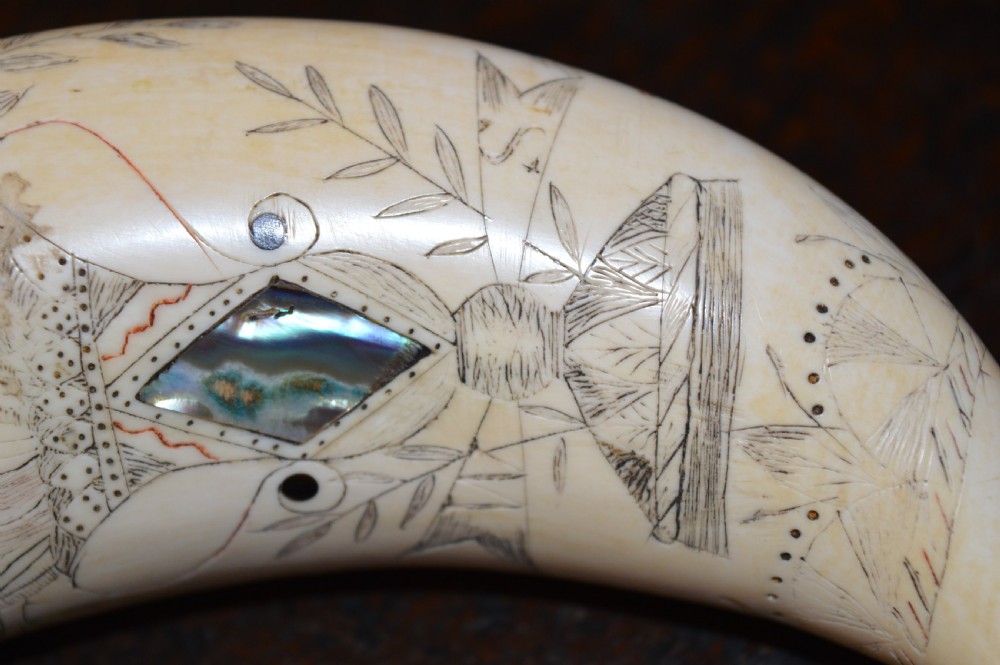 19th Century Whale Tooth Scrimshaw Snuff Mull , Abalone Inserts, USA , c1850 View VIII