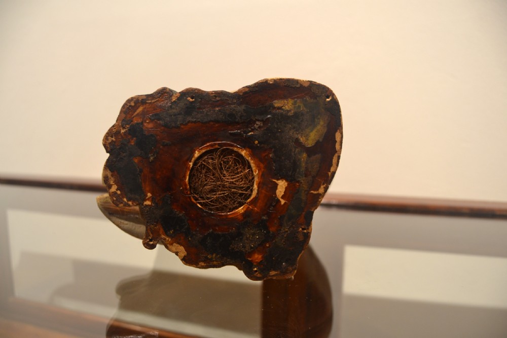 Antique Anatomical Head Model View IV