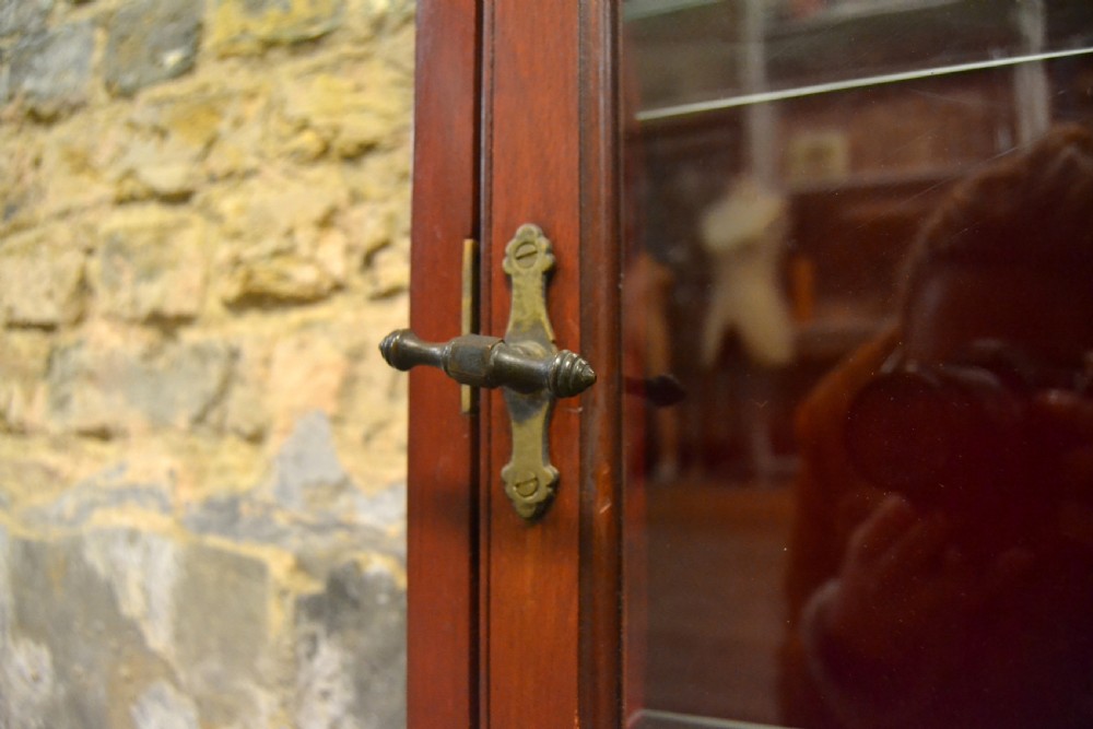 Small Mahogany Wall Display Cabinet View III