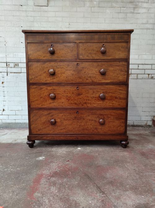 superb antique victorian plum pudding mahogany chest of drawers - CATEGORY: ANTIQUE CHEST OF DRAWERS - DATED VICTORIAN