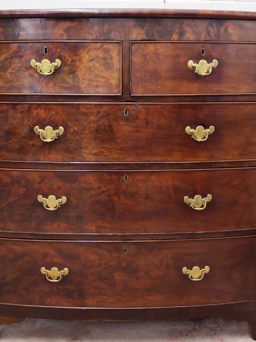 ANTIQUE WILLIAM IV REGENCY BURR MAHOGANY COUNTRY HOUSE BOW FRONT CHEST OF DRAWERS - ADDITIONAL PHOTO 11