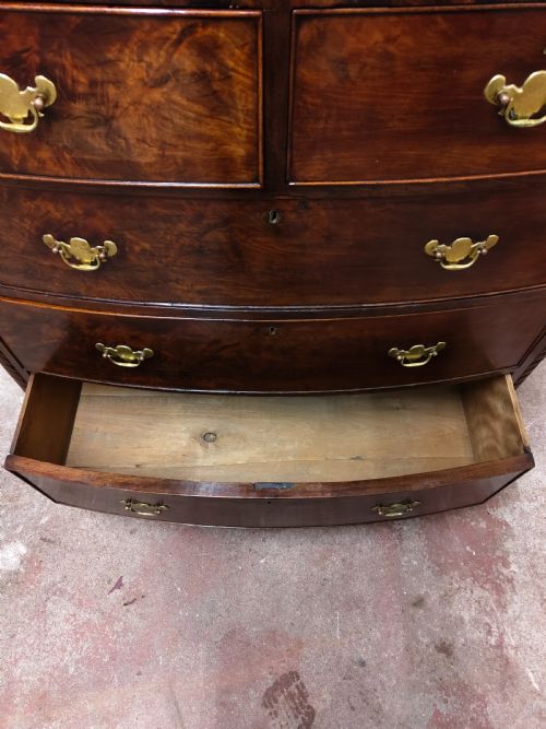 ANTIQUE WILLIAM IV REGENCY BURR MAHOGANY COUNTRY HOUSE BOW FRONT CHEST OF DRAWERS - ADDITIONAL PHOTO 7