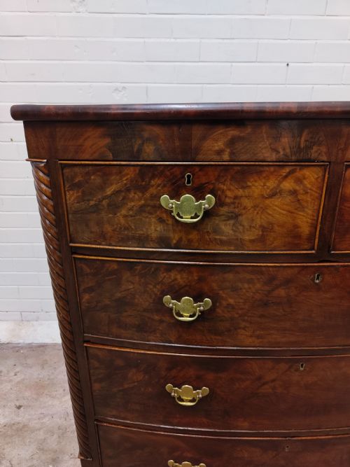 ANTIQUE WILLIAM IV REGENCY BURR MAHOGANY COUNTRY HOUSE BOW FRONT CHEST OF DRAWERS - ADDITIONAL PHOTO 13