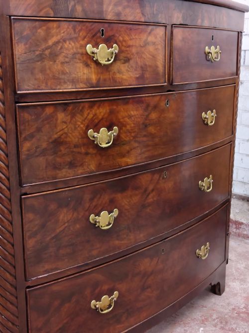 ANTIQUE WILLIAM IV REGENCY BURR MAHOGANY COUNTRY HOUSE BOW FRONT CHEST OF DRAWERS - ADDITIONAL PHOTO 16