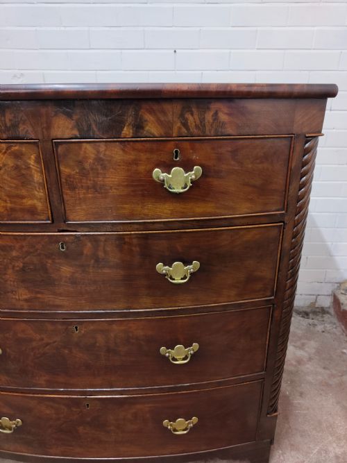 ANTIQUE WILLIAM IV REGENCY BURR MAHOGANY COUNTRY HOUSE BOW FRONT CHEST OF DRAWERS - ADDITIONAL PHOTO 20