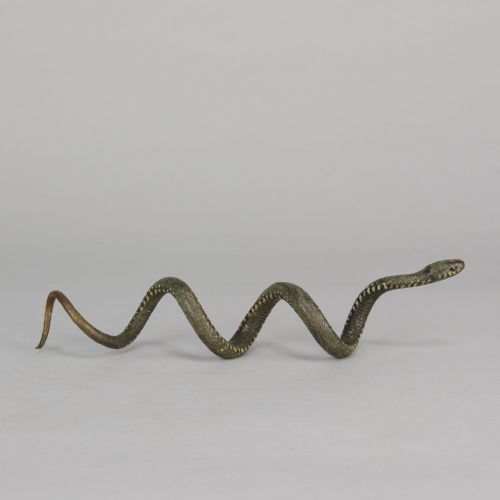 fig 2. An early 20th-century Viennese cold-painted bronze figure depicting a coiled snake with realistic scale detail.