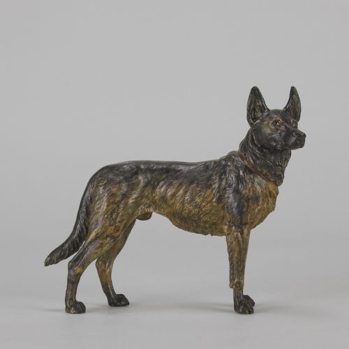 fig 1. An early twentieth-century cold-painted bronze sculpture depicting an Alsatian dog in a standing pose.