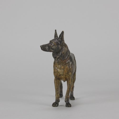 fig 2. An early twentieth-century cold-painted bronze sculpture depicting an Alsatian dog in a standing pose.