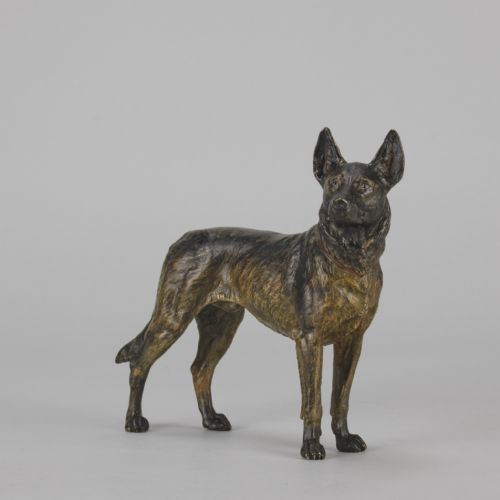 fig 3. An early twentieth-century cold-painted bronze sculpture depicting an Alsatian dog in a standing pose.