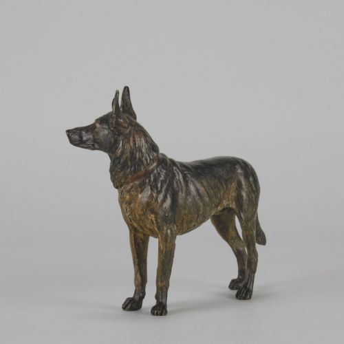 fig 4. An early twentieth-century cold-painted bronze sculpture depicting an Alsatian dog in a standing pose.