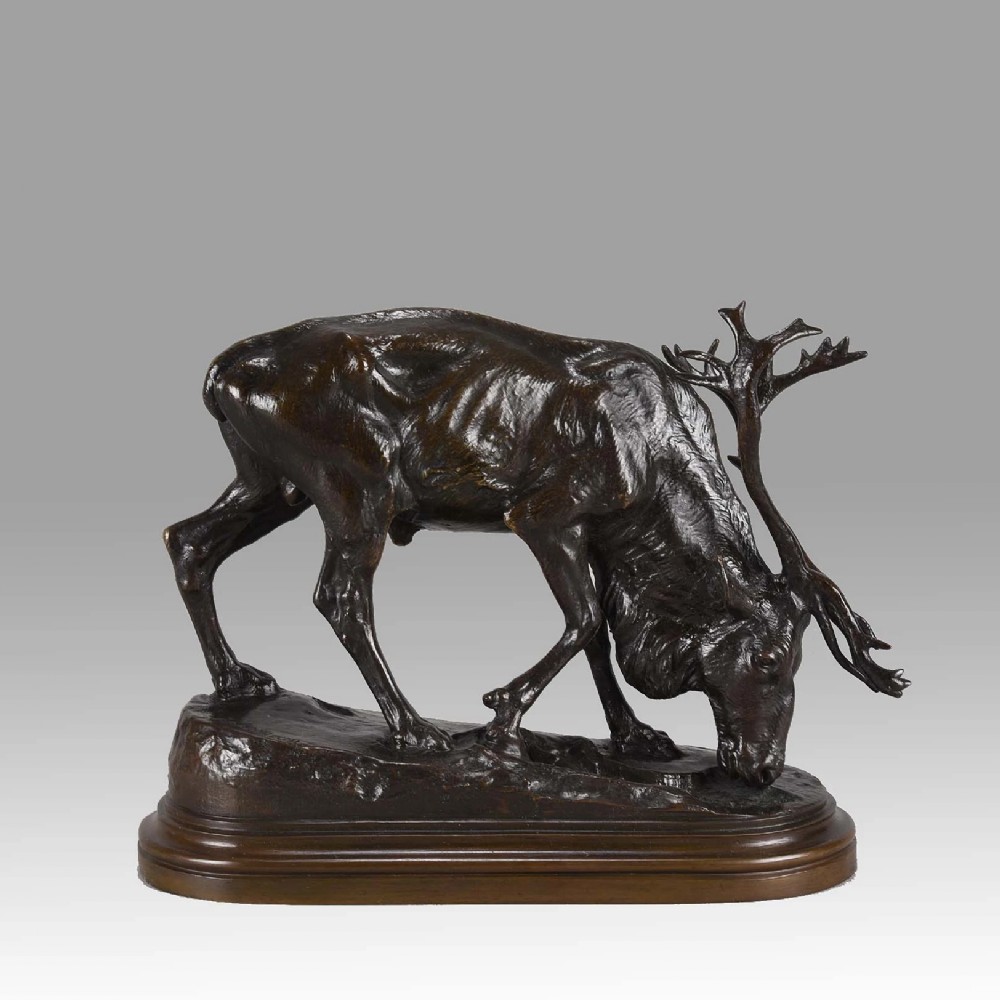 A 19th-century dark brown patinated bronze sculpture depicting a grazing reindeer with branching antlers on an oval naturalistic base.