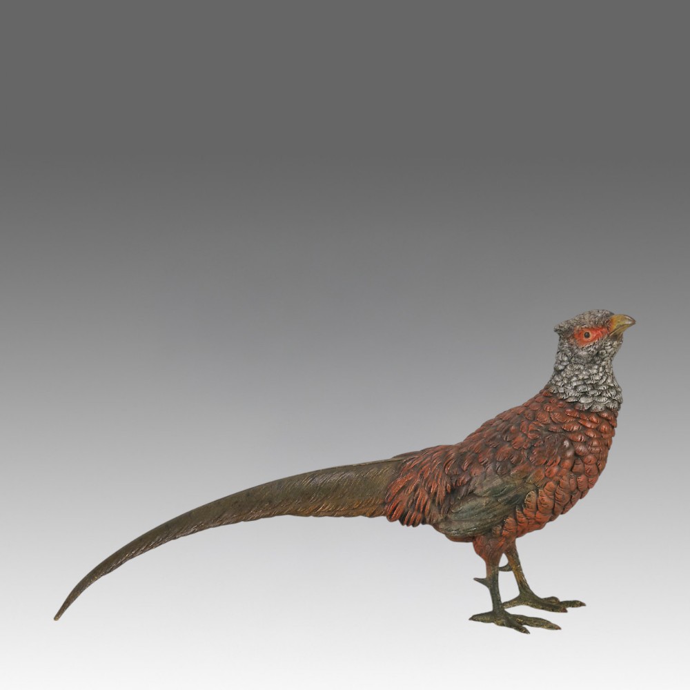 An early 20th-century cold-painted bronze sculpture depicting a standing gamebird pheasant with detailed plumage in shades of reddish-brown, grey, and red.