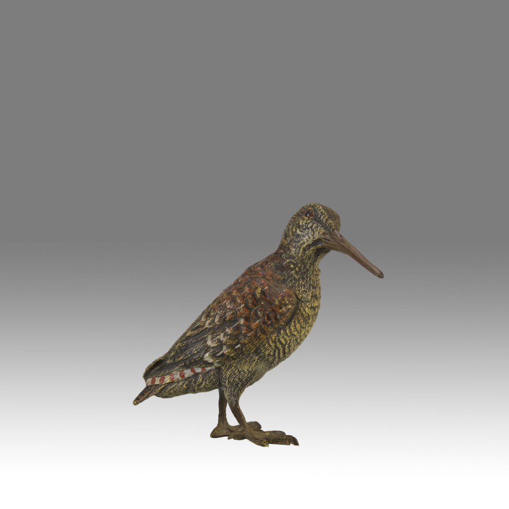 An early 20th-century cold-painted bronze figure of a woodcock bird standing with textured plumage and a long beak.