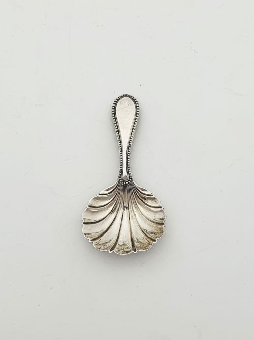 ANTIQUE EDWARDIAN SILVER PLATED ENGRAVED TEA CADDY WITH SHELL SPOON CIRCA 1905 - ADDITIONAL PHOTO 8