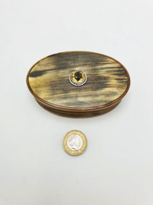 ANTIQUE VICTORIAN HORN SNUFF BOX WITH FACETED CITRINE DECORATION CIRCA 1880 - ADDITIONAL PHOTO 5