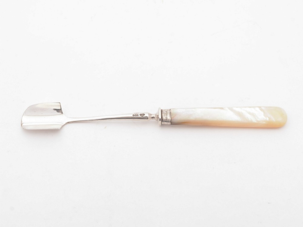Nice Silver and Mother of Pearl Stilton Scoop, Sheffield 1900 View II
