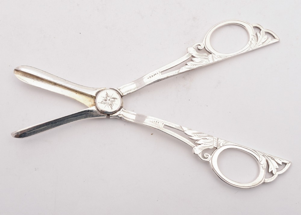 Gorgeous Edwardian Cased Silver Plated Grape Scissors, Circa 1905 View III