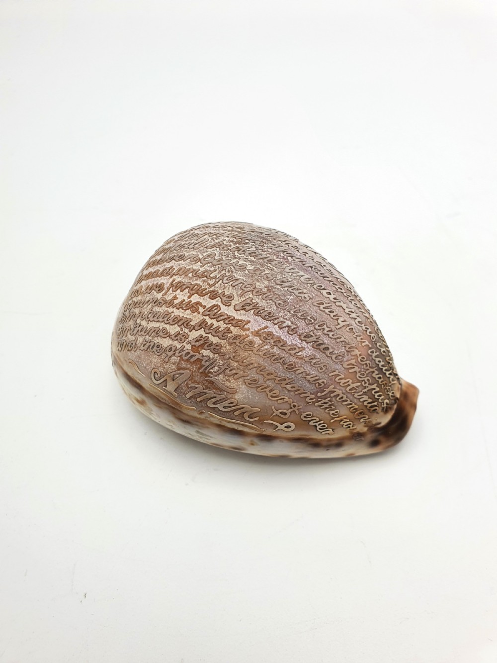 A polished cream and brown cowrie shell intricately etched with calligraphic cursive script detailing the Lords Prayer.
