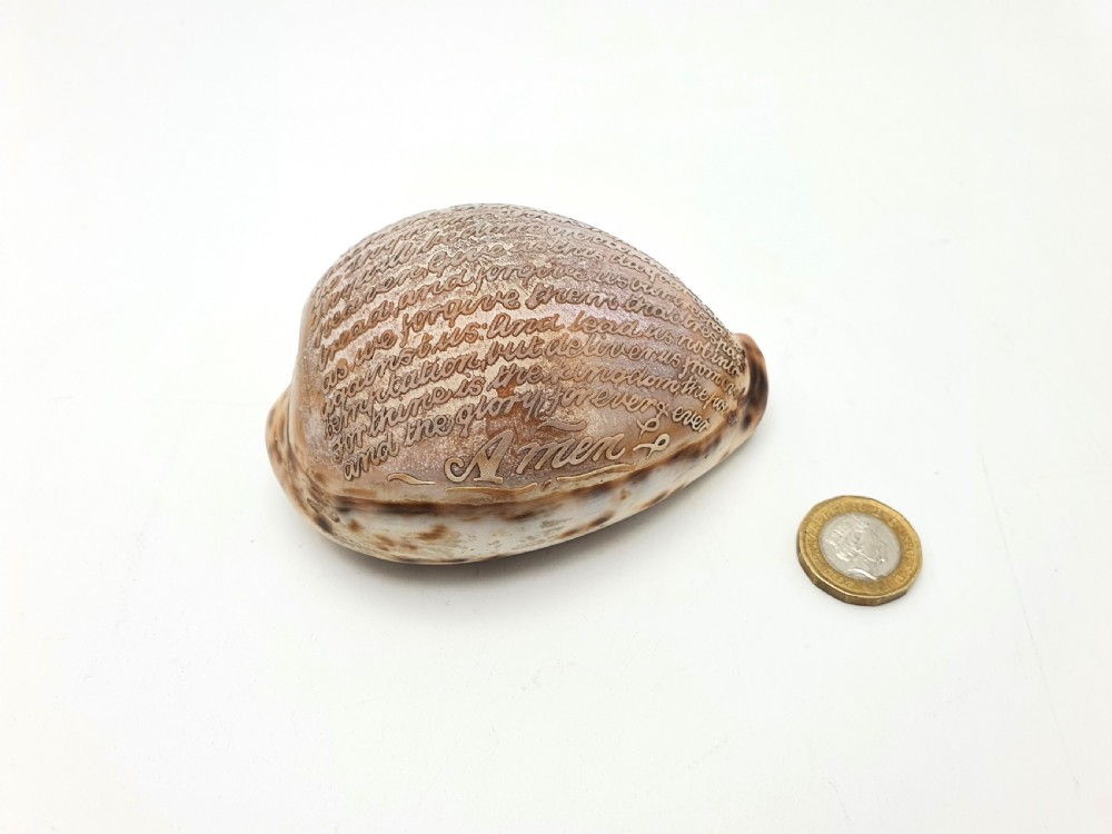 A polished cream and brown cowrie shell intricately etched with calligraphic cursive script detailing the Lords Prayer. View VII