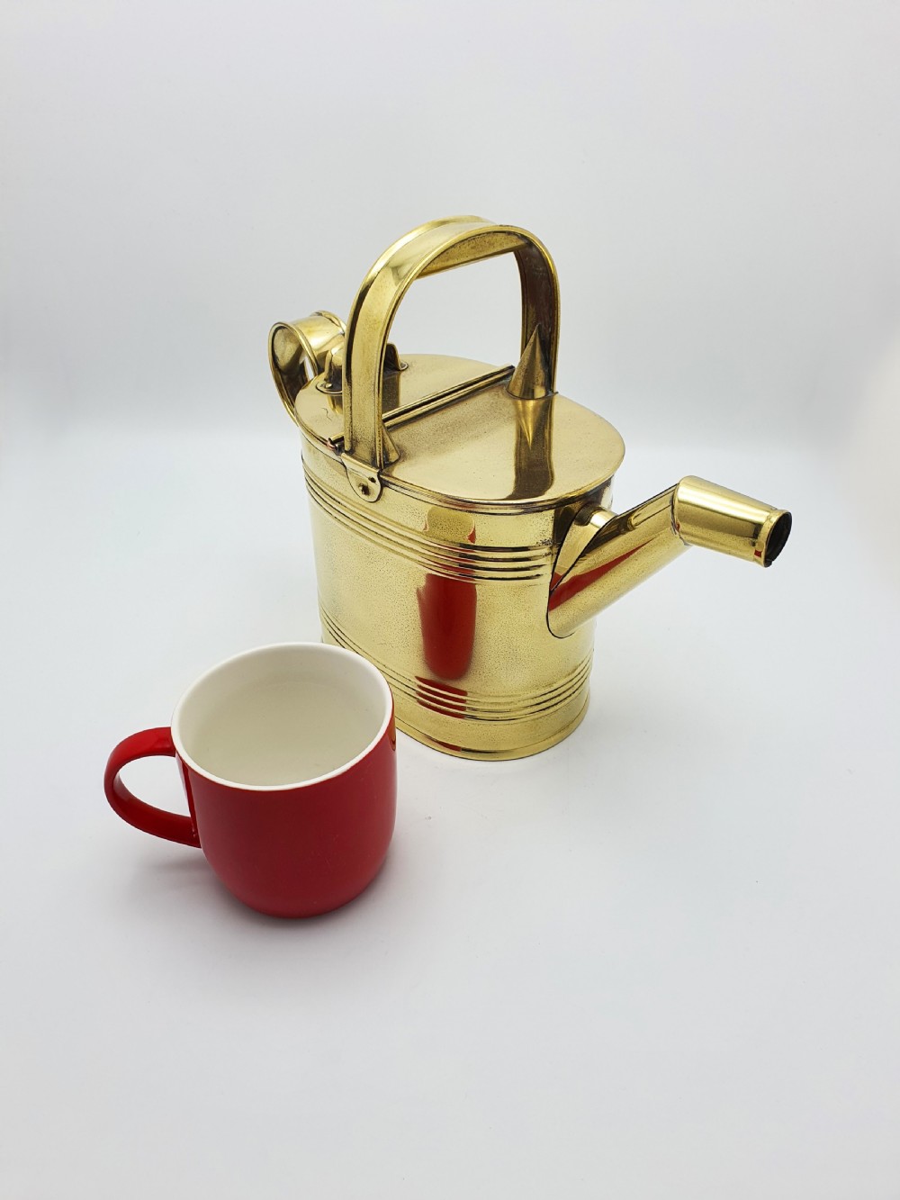 A polished late Victorian brass watering can with an oval body, a curved upper bridge handle, a rear loop handle, and a straight tapered spout. View IX
