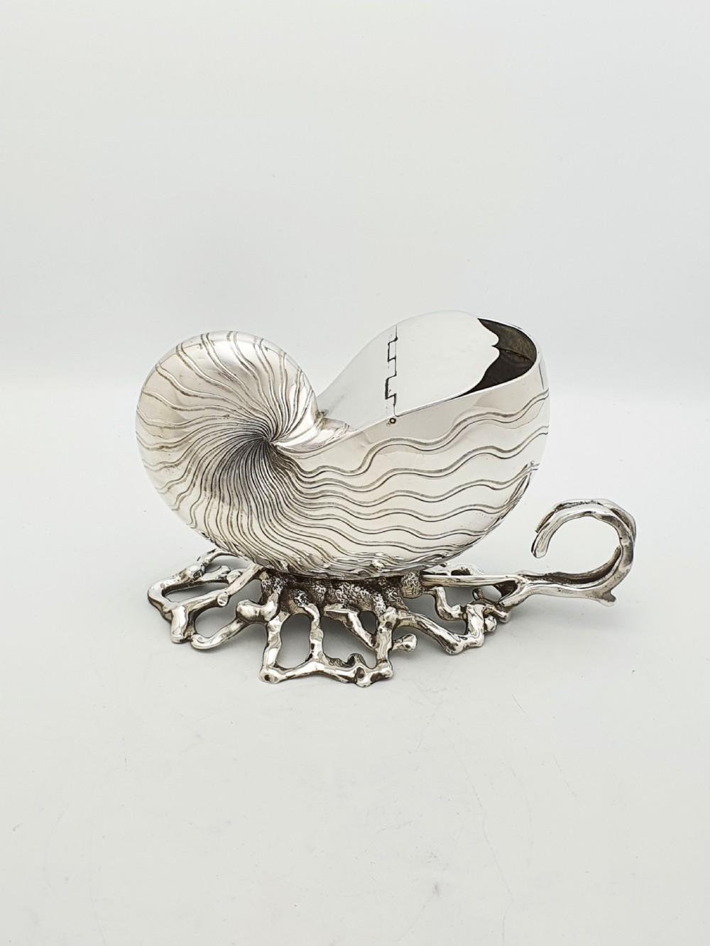 Gorgeous Antique Silver Plated Nautilus Shell Spoon Warmer – circa 1860